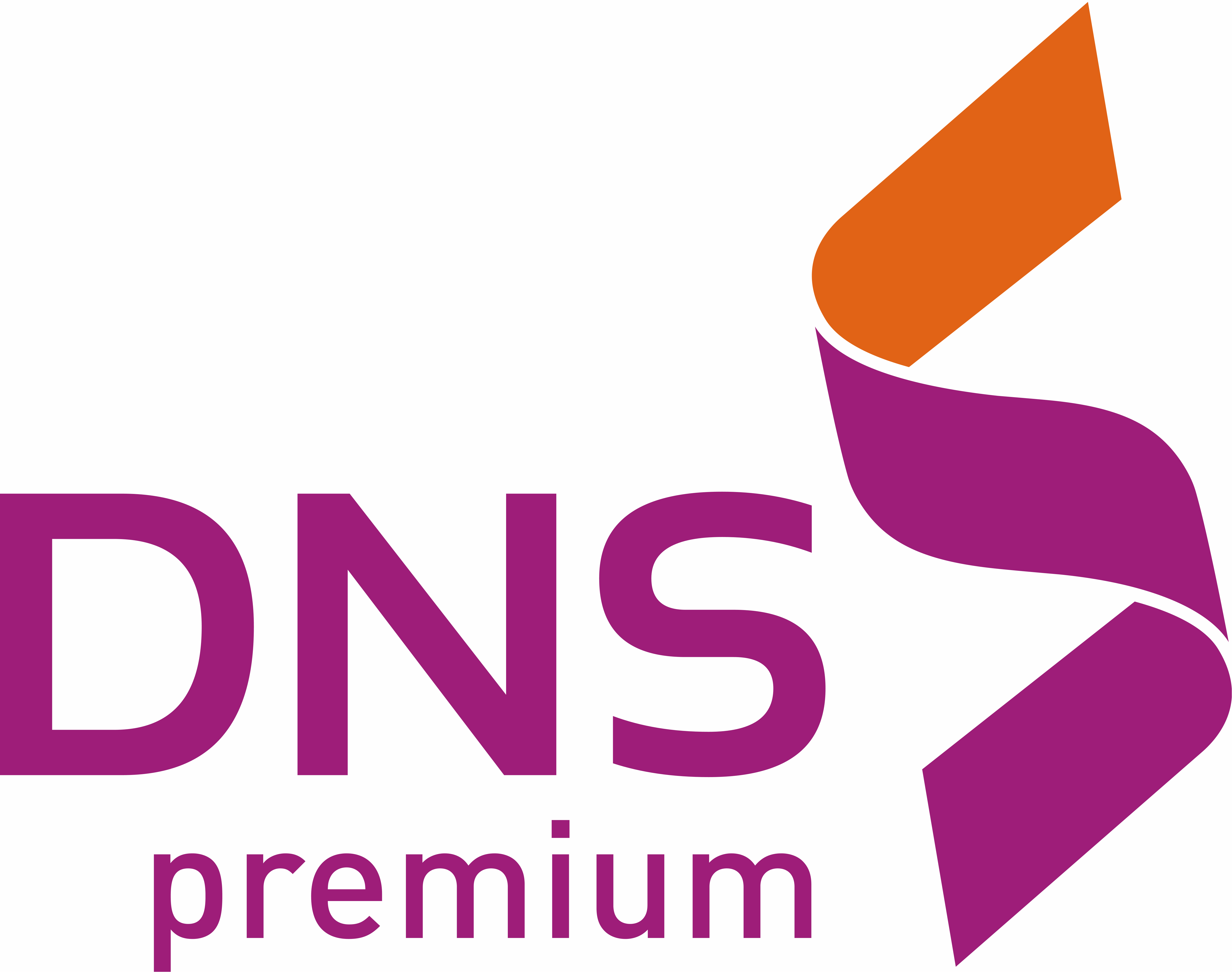 DNS premium
